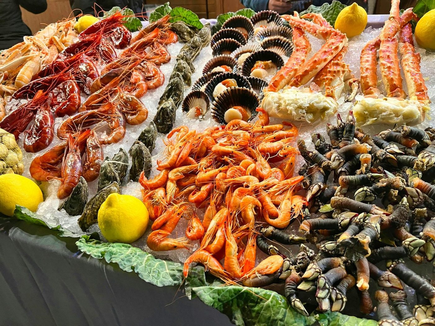 Mariscos frescos: camarones, langostinos, ostras, vieiras y percebes sobre hielo